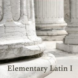 Elementary Latin I
