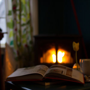 Book by the fireplace