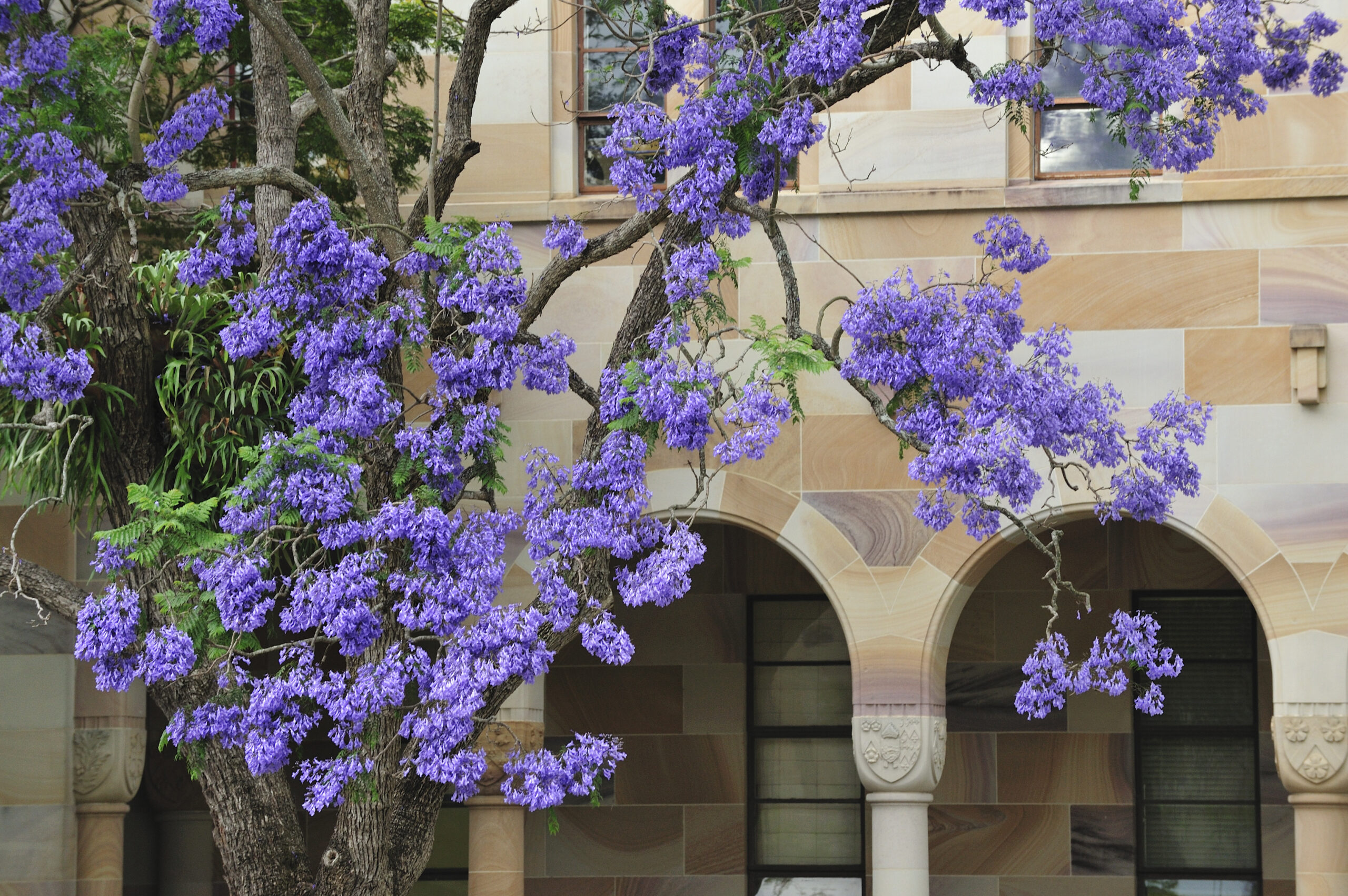 OzMoot, January 27, 28, & 29 - Signum University